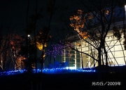 光の丘／2009年600-1.jpg
