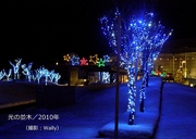 光の並木etc／2010年-2.jpg