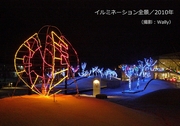 光の並木etc／2010年-3.jpg