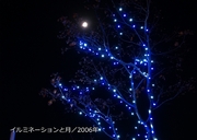 写真集／2006年600-2.jpg