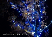 写真集／2006年600-3.jpg