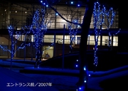 写真集／2007年600-4.jpg
