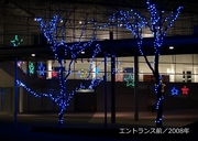 写真集／2008年600-2.jpg
