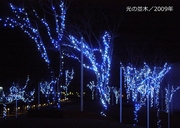 写真集／2009年600-2.jpg