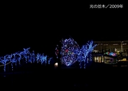 写真集／2009年600-3.jpg