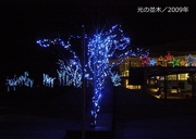写真集／2009年600.jpg